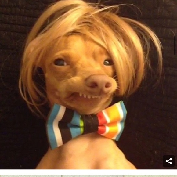 TUNA for President Hoodie - Picture 8 of 8